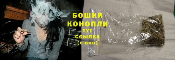 шишки Богданович