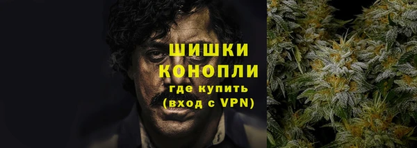 спиды Гвардейск