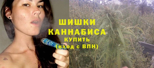 мет Галич