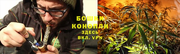 дурь Богородицк
