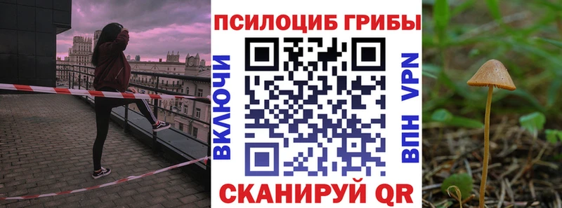 Галлюциногенные грибы мухоморы  Горняк 